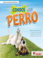 CONOCE A TU PERRO