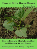 How to Grow Green Beans: Growing Guides