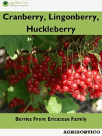 Cranberry, Lingonberry and Huckleberry