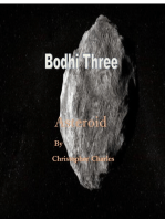 Bodhi Three Asteroid