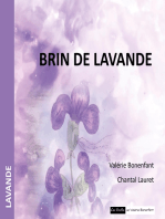 Brin de lavande: Les contes colorés