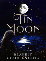 Tin Moon: Southern Fiction