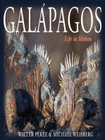 Galápagos: Life in Motion