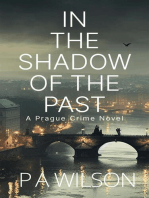 In The Shadow Of The Past: City Crimes, #3