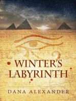 Winter's Labyrinth