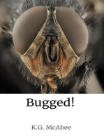 Bugged!