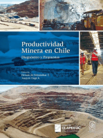 Productividad Minera en Chile: Diagnóstico y Propuestas