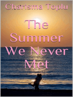 The Summer We Never Met