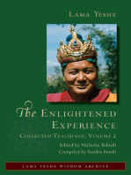 The Enlightened Experience