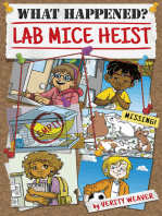 Lab Mice Heist