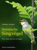 Heimische Singvögel: Wie, wann und wo sie singen