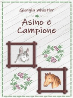 Asino e Campione