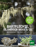 Bartflechte, Isländisch Moos & Co.: Wundermittel der Natur; Mit großem Rezeptteil