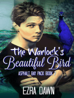 The Warlock's Beautiful Bird