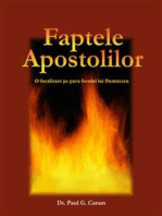 Cartea Faptele Apostolilor