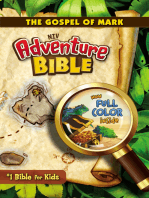 NIV, Adventure Bible