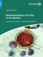 Bestimmungsbuch für Pilze in der Medizin