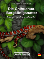 Die Chihuahua-Bergkönigsnatter: Lampropeltis knoblochi