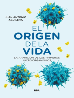 El origen de la vida: La aparición de los primeros microorganismos