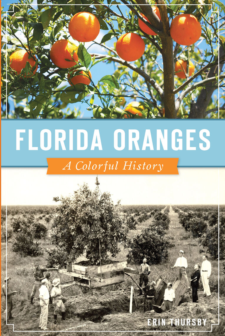 Read Florida Oranges Online By Erin Thursby Books