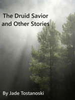The Druid Savior and Other Stories