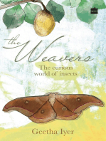 The Weavers: The Curious World of Insects