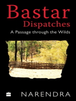 Bastar Dispatches: A Passage Through the Wilds