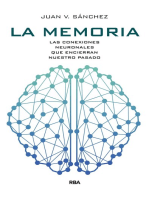 La memoria: Las conexiones neuronales que encierran nuestro pasado