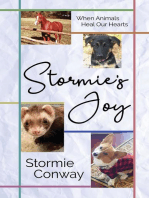 Stormie's Joy