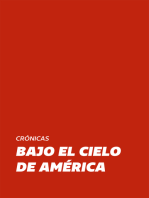 Bajo el Cielo de América