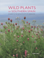 Wild Plants of Southern Spain: A Guide to the Native Plants of Andalucia