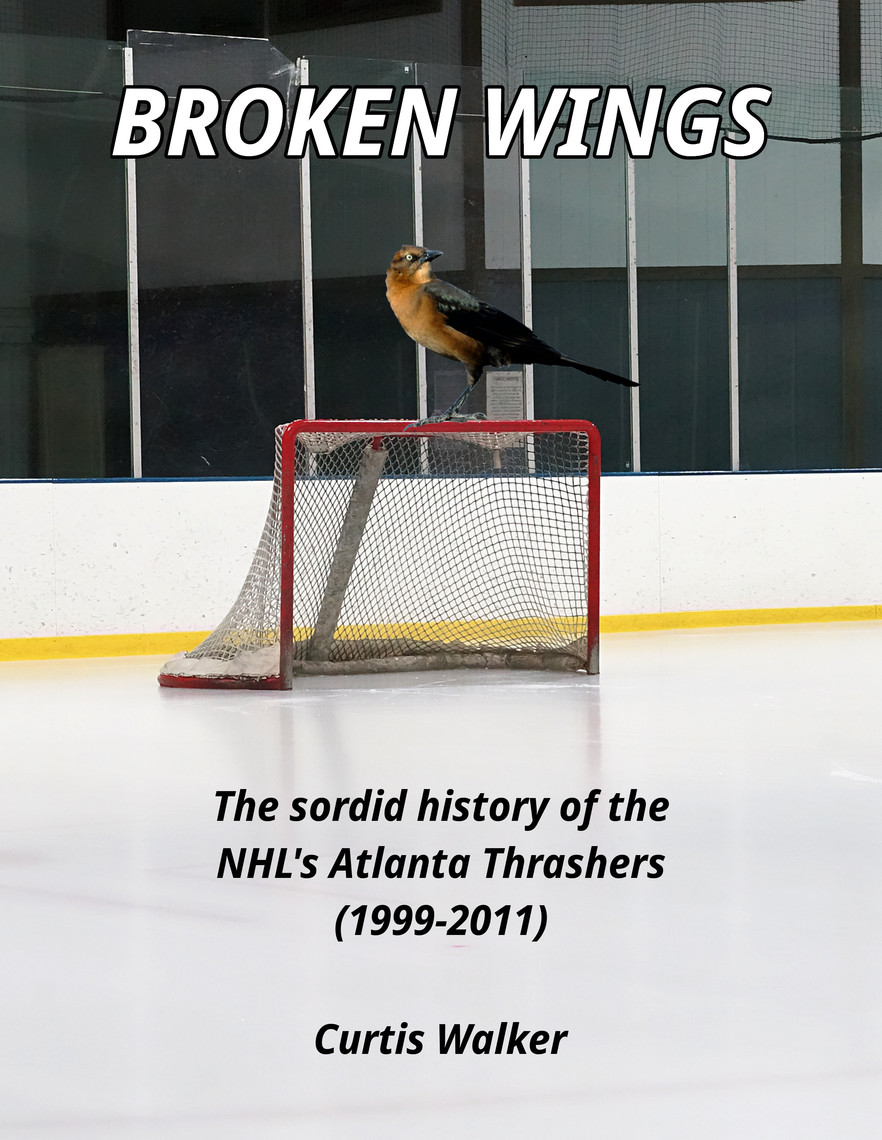 Flying high at 25: An oral history on the making of 'The Mighty Ducks' -  The Hockey News