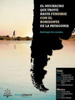 El muchacho que trotó hasta fundirse con el horizonte de la Patagonia y otros cuentos