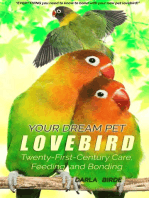 Your Dream Pet Lovebird: Dream Birds, #1