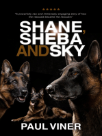 Shane, Sheba and Sky