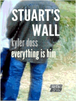 Stuart's Wall