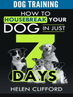 Training your Dog in 7 Steps: How to Housebreak your Dog in Just 7 Days