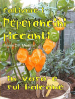 Coltivare i peperoncini piccanti in vaso e sul balcone. La collezione cult per chi ama l’orto, il giardino e la buona tavola