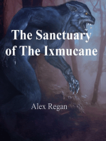 The Sanctuary of The Ixmucane