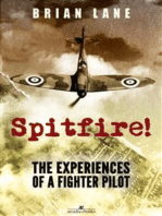 Spitfire!: The Experiences of a Fighter Pilot