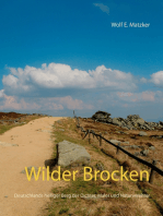 Wilder Brocken