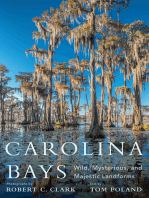 Carolina Bays: Wild, Mysterious, and Majestic Landforms