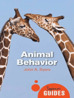 Animal Behavior: A Beginner's Guide