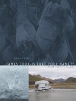 James Cook - is that your name?: Eine Islandreise