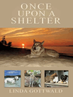 Once Upon a Shelter