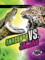 Anaconda vs. Jaguar