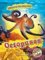 Octopuses