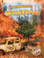 Wildfires