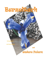 Burzeltach und andere Feiern