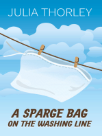 A Sparge Bag on the Washing Line